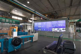 龍?bào)纯萍?信息技術(shù)驅(qū)動下的創(chuàng)新與發(fā)展